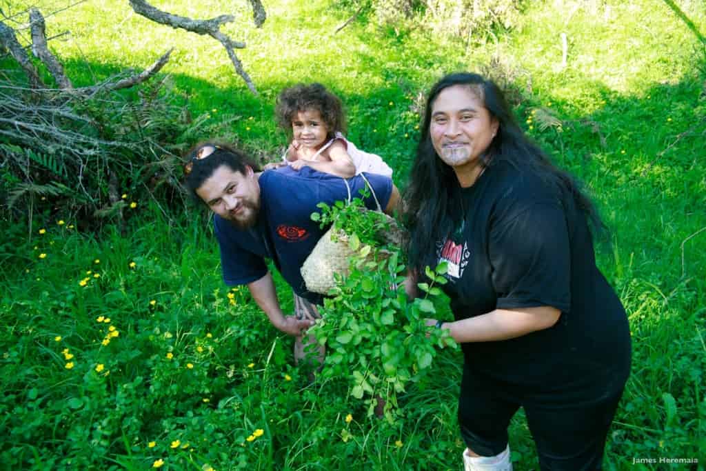 Egzotikus körutazás, privát utak: Új-Zéland - Maori kultúra