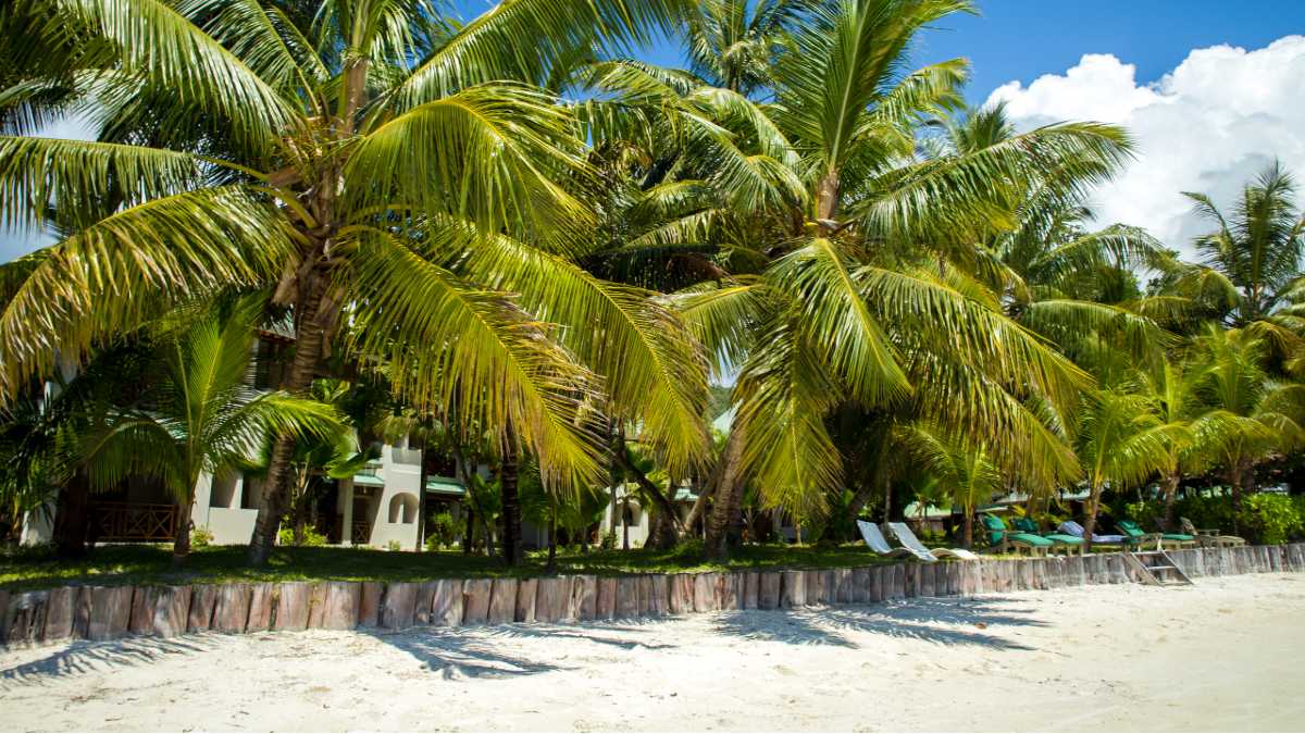 Seychelle-szigetek | Nyaralás | Tengerparti esküvő | Nászút: Indian Ocean Lodge